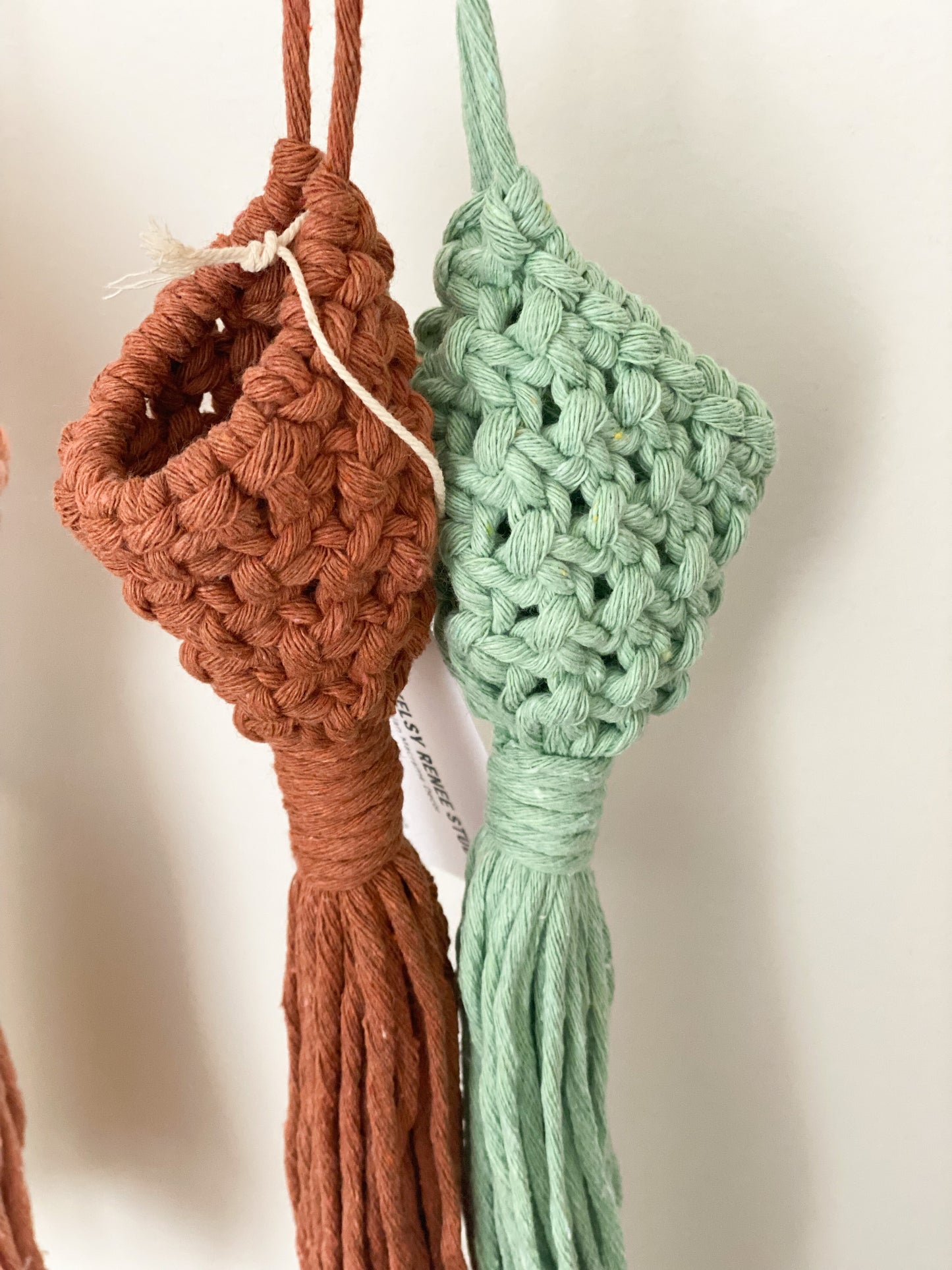 Air Plant Pods (6 colour options)